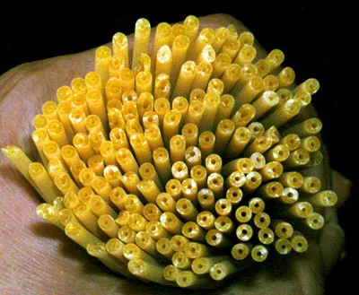 perciatelli: 2. obrázek